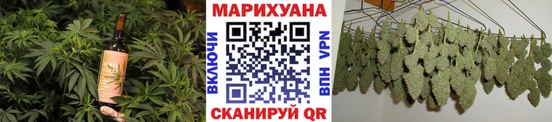 продажа наркотиков  Михайлов  Еда ТГК марихуана 