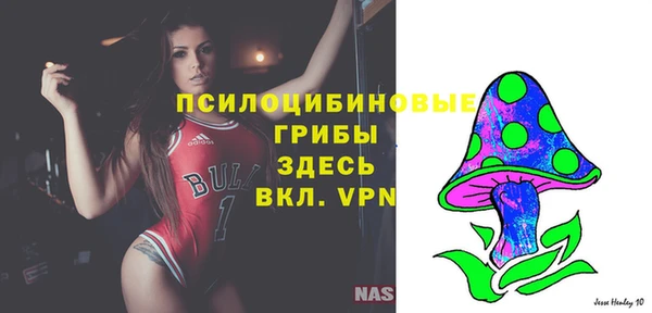 мдпв Бугульма