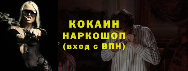 ешки Богданович