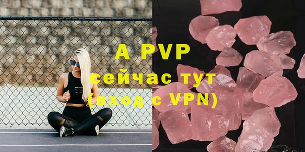 ешки Богданович