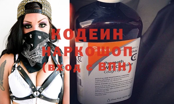шишки Богородицк