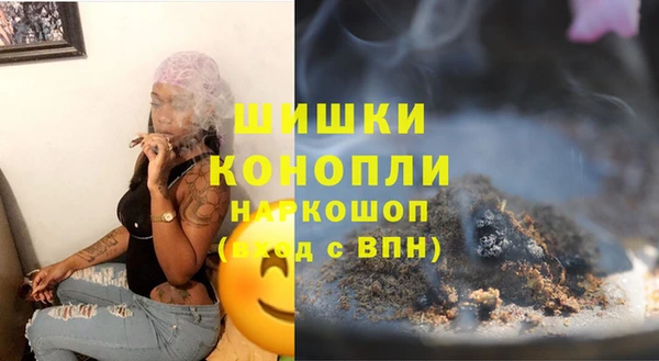 шишки Богородицк