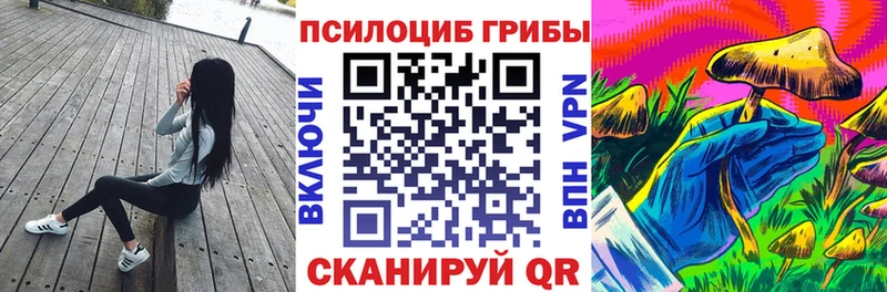 купить   Михайлов  Галлюциногенные грибы мицелий 