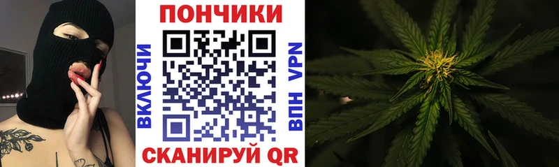 omg tor Михайлов Бошки Шишки план